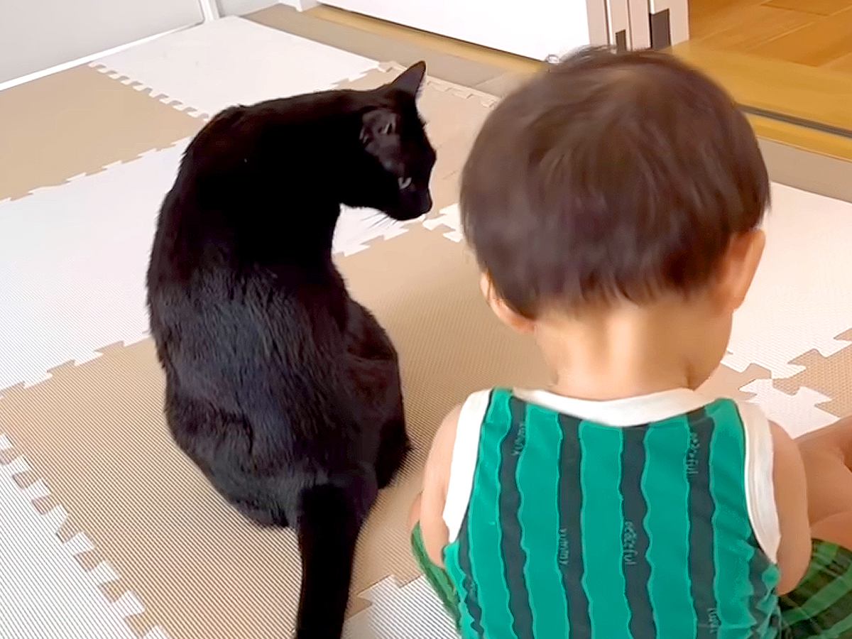 赤ちゃん大好きな黒猫の“ボディーガード行動”とは