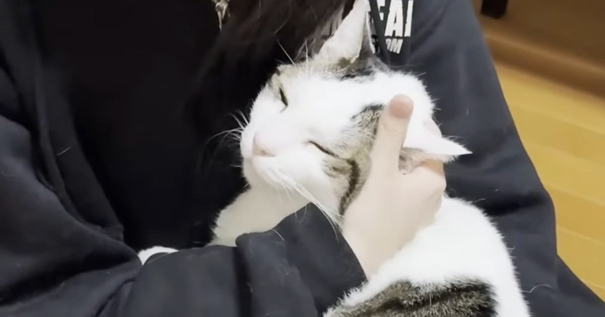 誰にも相手にされない娘のもとに『心優しい猫』がやってきて……愛にあふれた『尊い瞬間』に反響「いいなぁと声が出た」「愛も重たい」