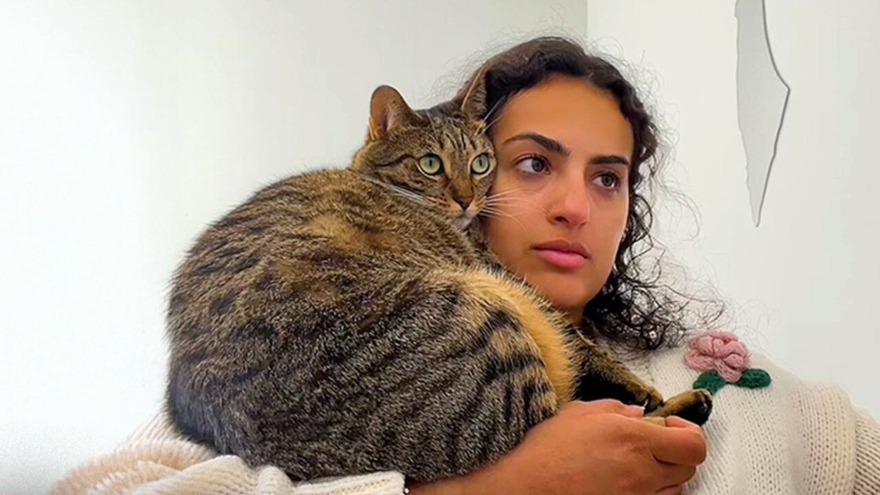 猫が飼い主の姿が見えないと不安になる理由と優しい距離感の育て方