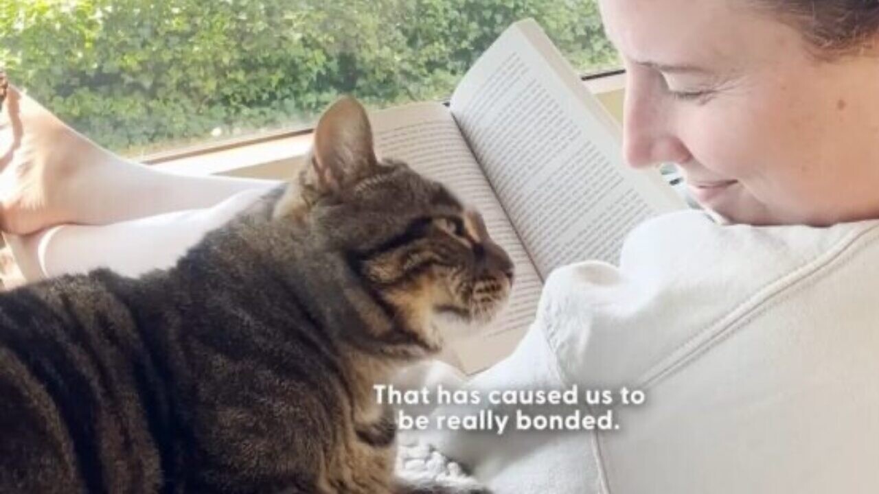 2年間引き取り手がなかった銃創をもつシニア猫。運命の飼い主さんに出会い甘い余生を満喫中