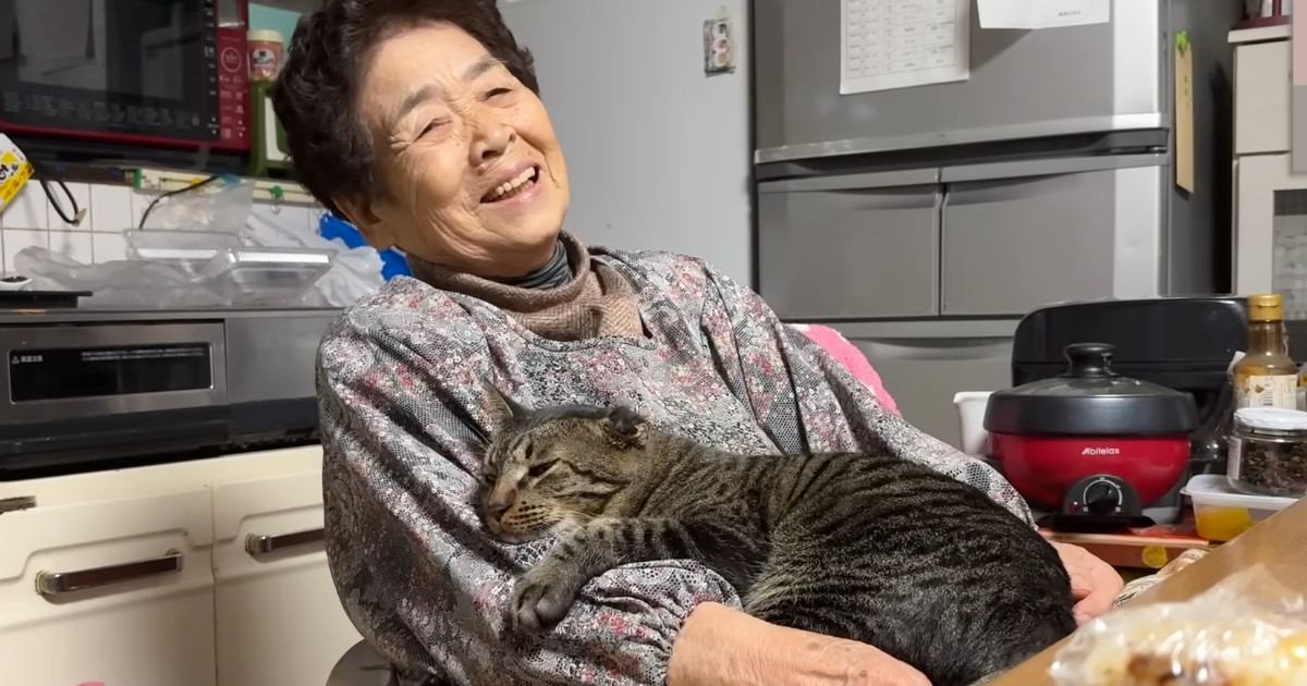 相思相愛な『おばあちゃんと元野良猫』の日常…とんでもなく尊いやり取りが87万再生「本当に安心するんだろうね」「なんか涙出た」