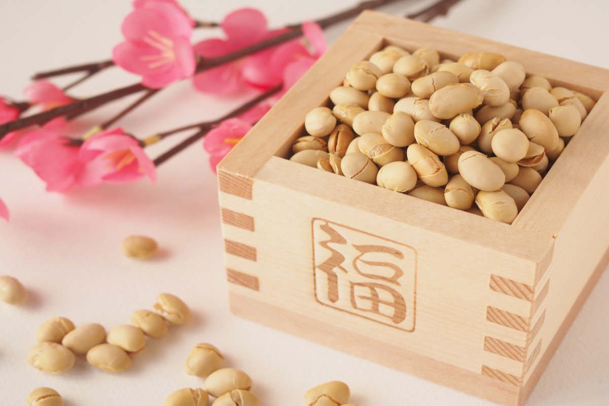 猫が『節分の豆』を食べるのは危険？楽しく安全に過ごすための工夫や注意点