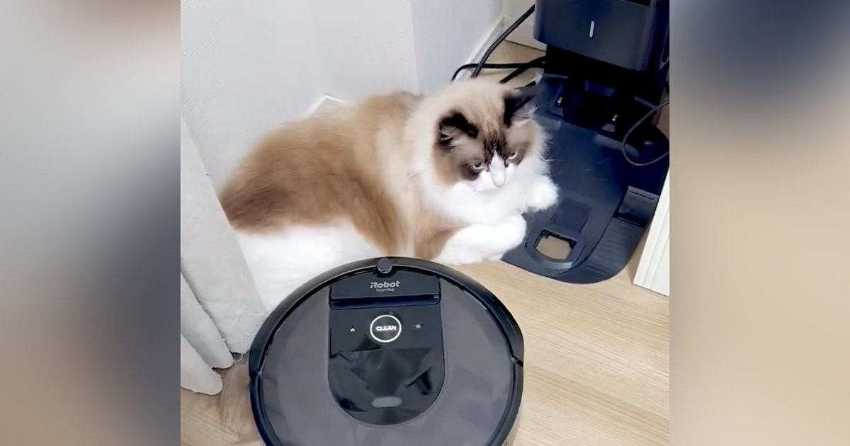 ロボット掃除機がホームに戻ろうとしたら…猫がとった『まさかの行動』に爆笑の声続出「帰してあげてｗ」「アクシデントｗ」と22万表示