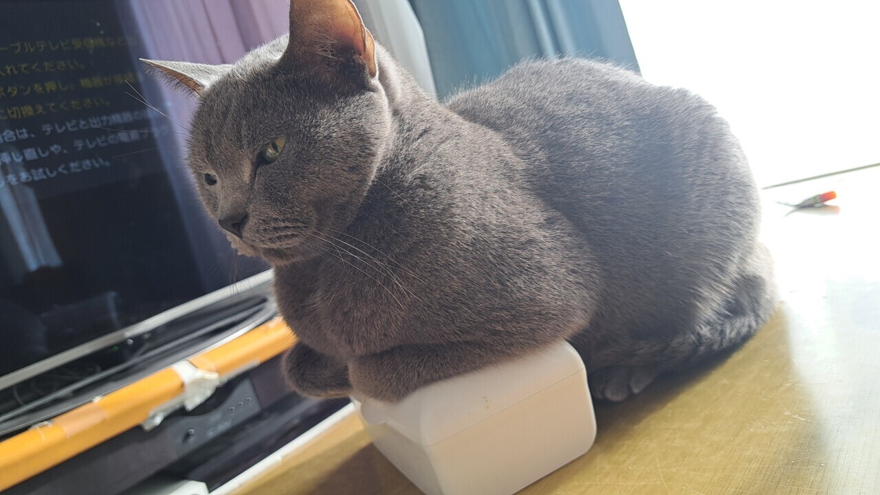 2026年もよろしくお願いします