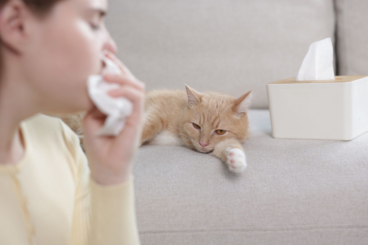 猫が持っている『怖い一面』3選　知っておくべきリスクや注意が必要なこと